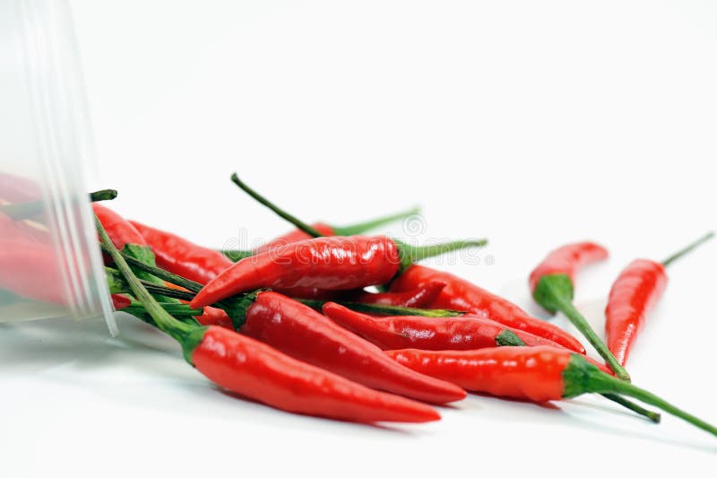 Chilies Series 2