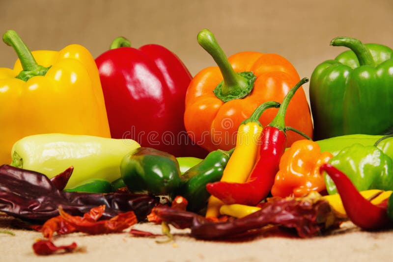 Chililivstidspeppar fortfarande arkivbild