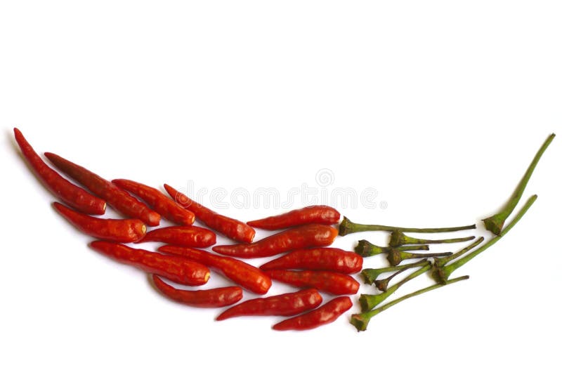 Chilimosaikpeppar arkivbild