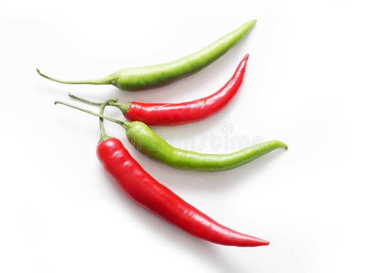 Chilipeppar royaltyfri bild