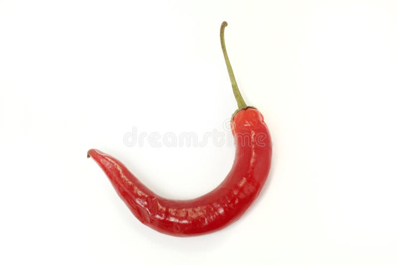 Chilipepparred fotografering för bildbyråer
