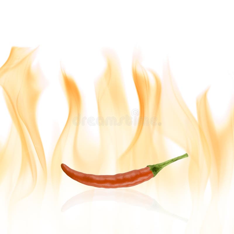 Chilipepparred arkivfoton