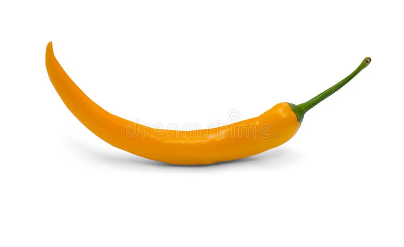 Chilipepparyellow royaltyfri fotografi