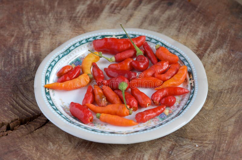 Chilli on dish stock photo. Image of gourmet, wooden 37162316