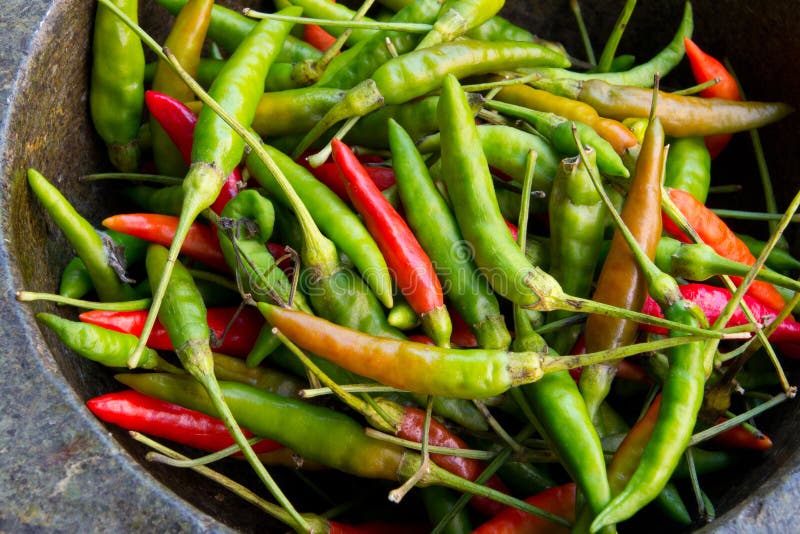 Chilli Ingredient Thai Food Stock Image Image of closeup, vegetable