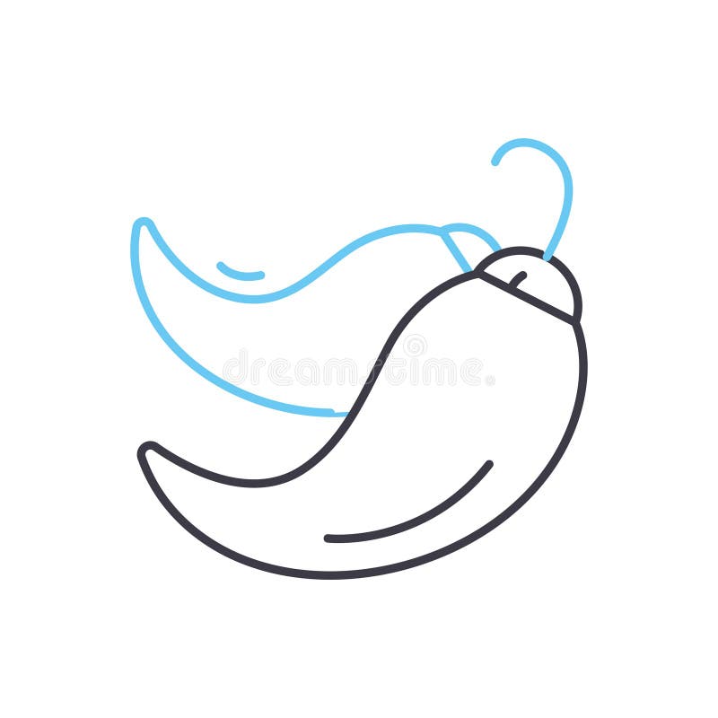 Chilli Line Icon, Outline Symbol, Vector Illustration, Concept Sign