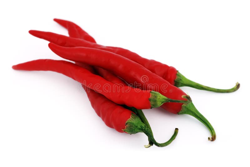 Chilli pepper