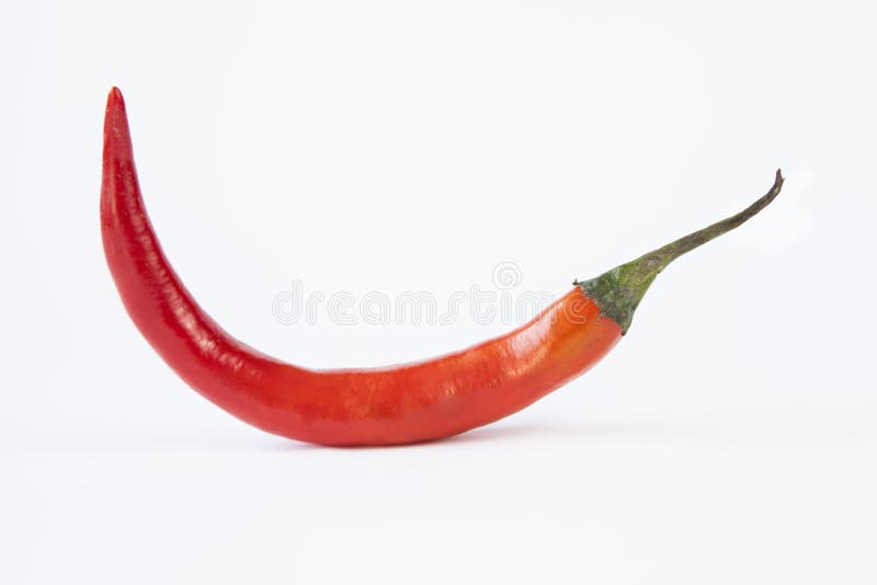 Chilli pepper