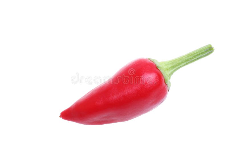 Chilli pepper