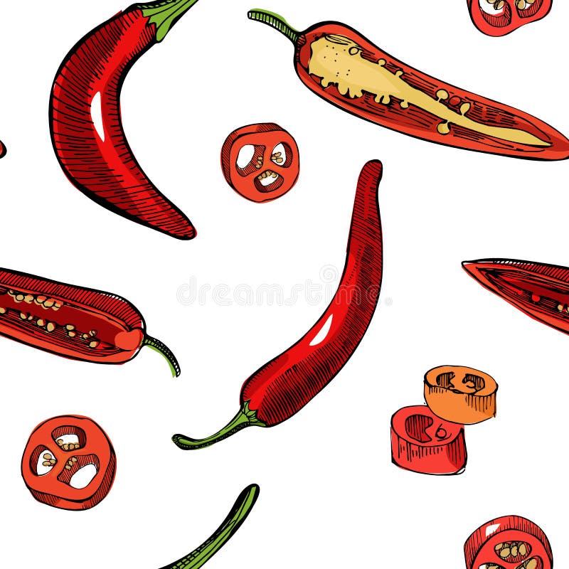 Chilli pepper sketch seamless pattern.Vintage ink hand drawn vector of different peppers on white background.Great for royalty free illustration Chilli pepper sketch seamless pattern.Vintage ink hand drawn vector of different peppers on white background.Great for royalty free illustration