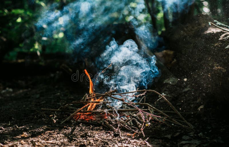 Chimenea en el bosque imagen de archivo. Imagen de bosque - 70166107