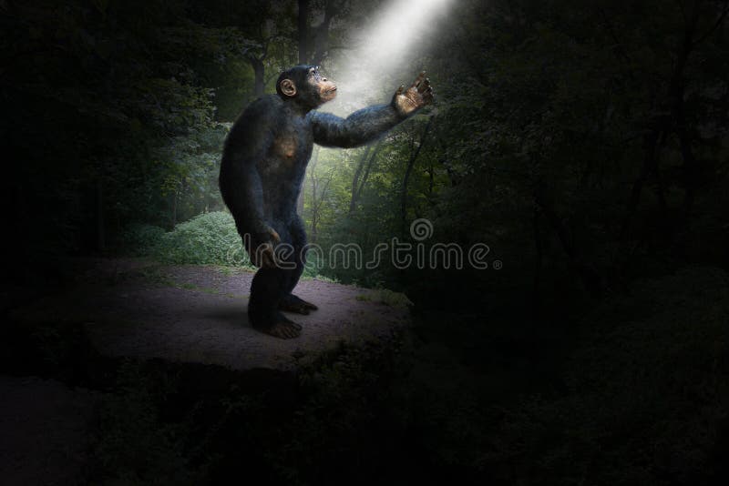 La fauna animale scimpanzé o scimpanzé primate, scimmia, dall'Africa è in piedi nella giungla o deep dark woods foresta ricerca di una trave o un raggio di luce.