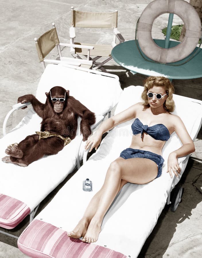 Chimpanzee and a woman sunbathing (All persons depicted are no longer living and no estate exists. Supplier grants that there will be no model release issues.). Chimpanzee and a woman sunbathing (All persons depicted are no longer living and no estate exists. Supplier grants that there will be no model release issues.)