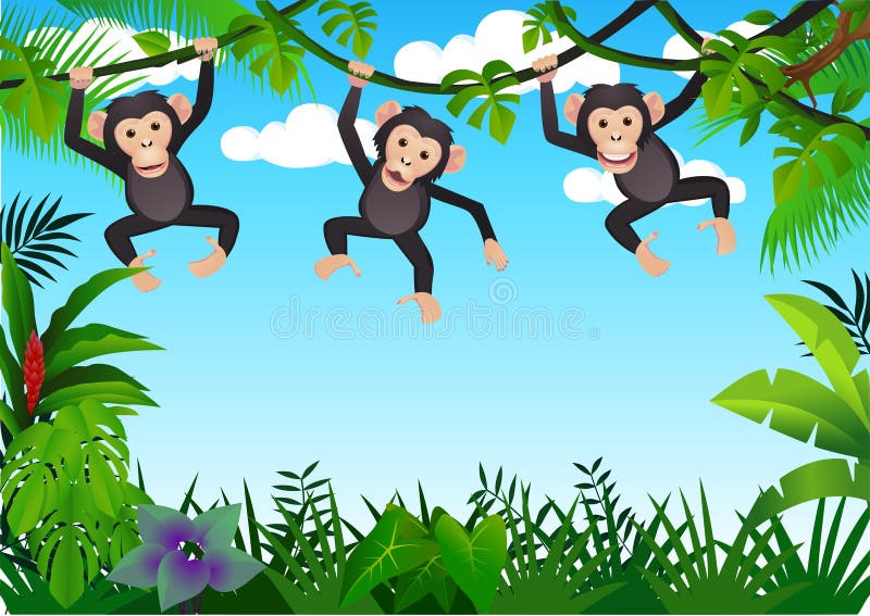 Diferentes Pães Macaco Personagem Animal Selvagem Zoológico Macaco Chimpanzé  Ilustração Vetorial. Royalty Free SVG, Cliparts, Vetores, e Ilustrações  Stock. Image 77468899