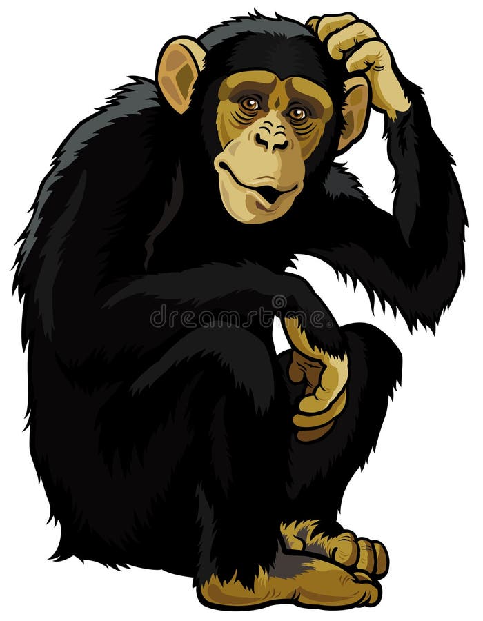 Chimpanzee Stock Illustrations – 18,960 Chimpanzee Stock Illustrations