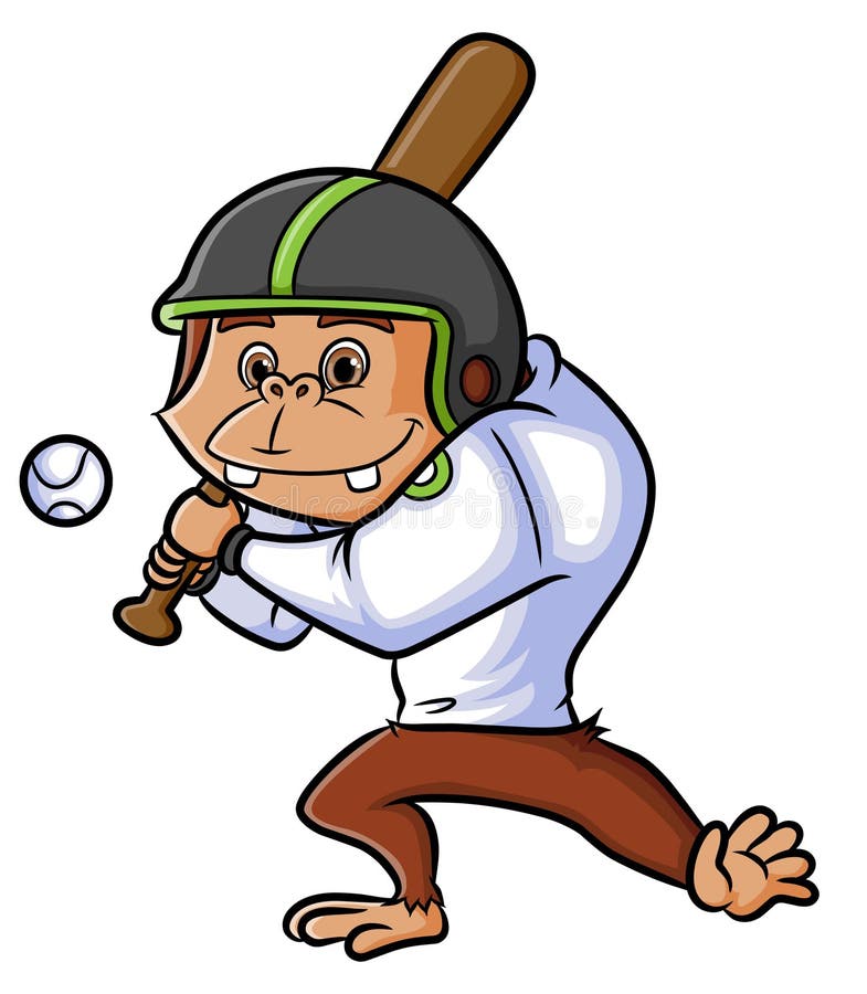 The Chimpanzee is Playing the Baseball in the Field Stock Vector