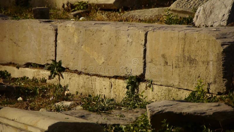 China beijing yuanmingyuan,history legacy wreckage,royal garden pillars.