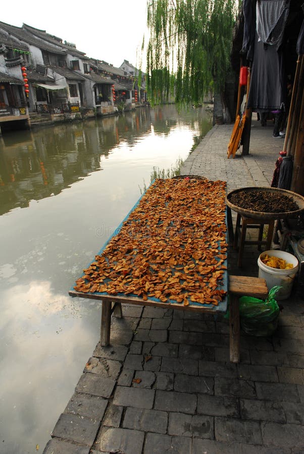 China dry fish