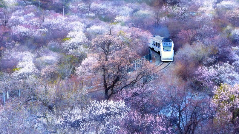 El tren línea2 es un línea en la mayoría de secciones, pero sección en eso empieza través de El gran muro en la primavera, eso es un muy extrano con El gran.