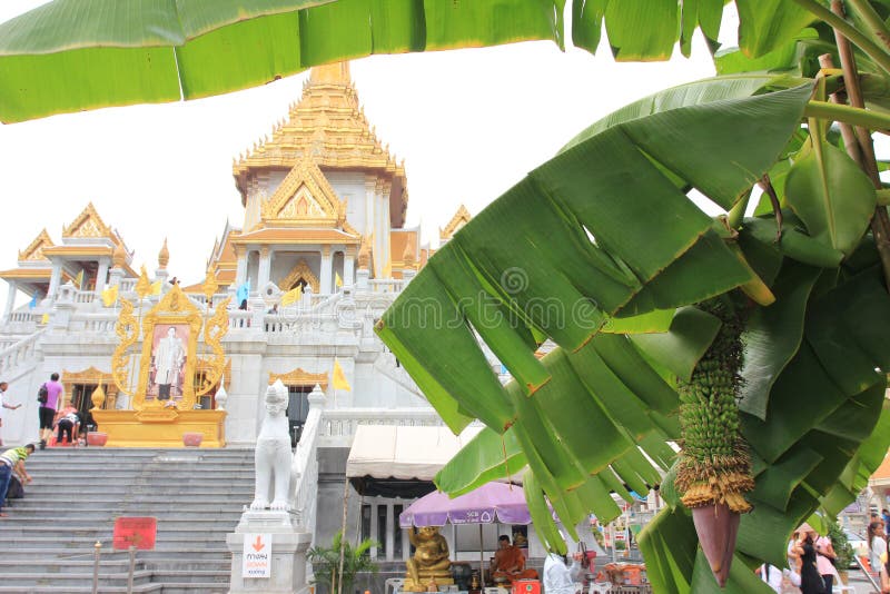 Chineese buddhist temple of Golden Buddha, Wat Traimit