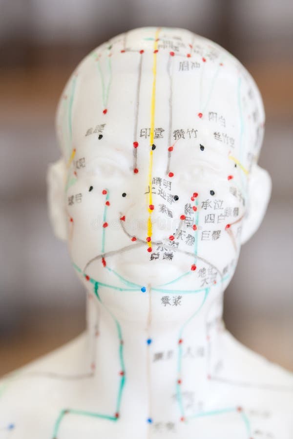 Chinese Acupuncture Medicine Stock Photo Image of alternative