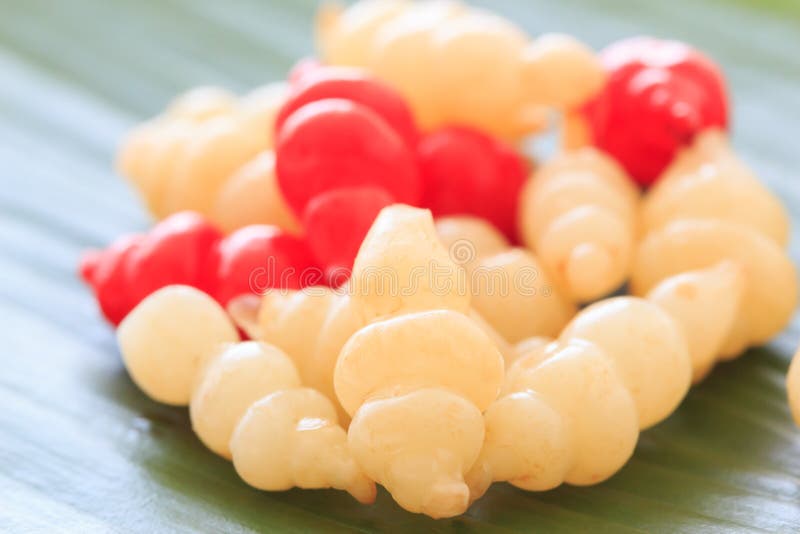 Chinese Artichoke Stachys Affinis Stock Photo Image of cultivated