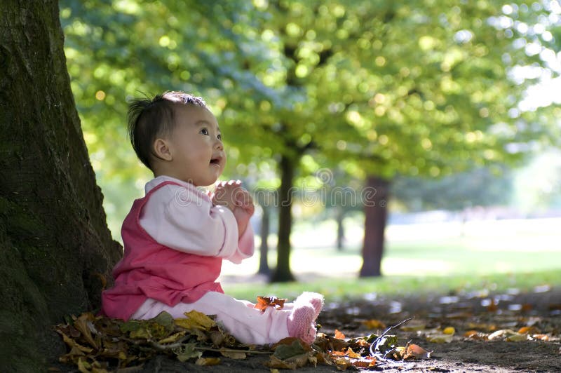 Chinese baby sitting under tree