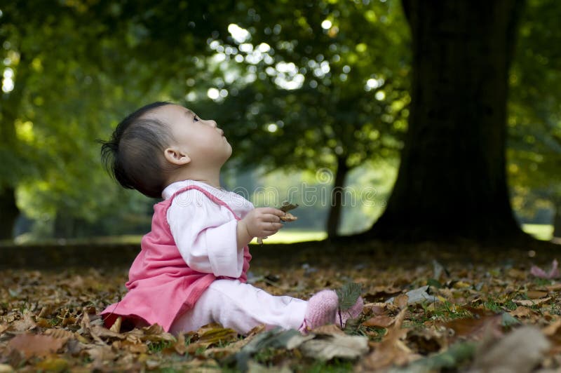 A Chinese baby under tree