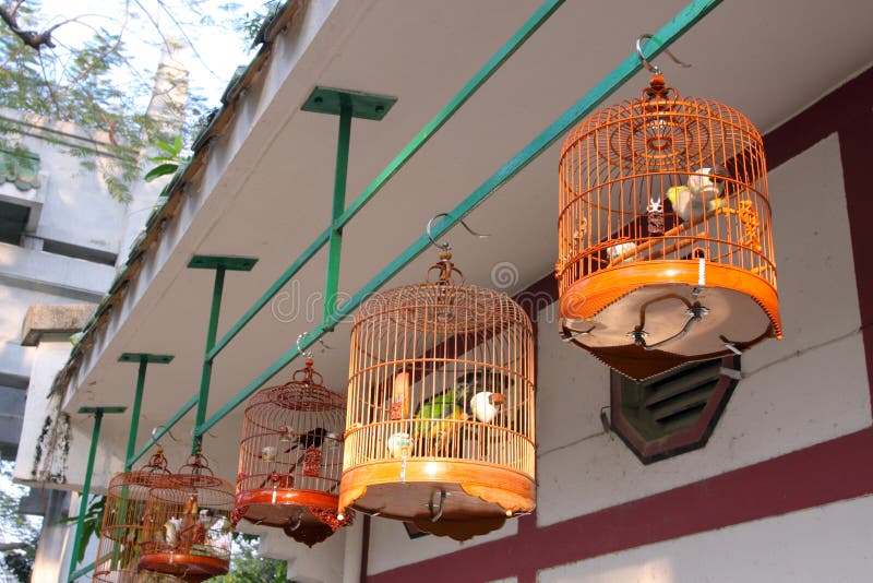 Chinese Bird Cage stock photo. Image of catch, room, cages 22591384