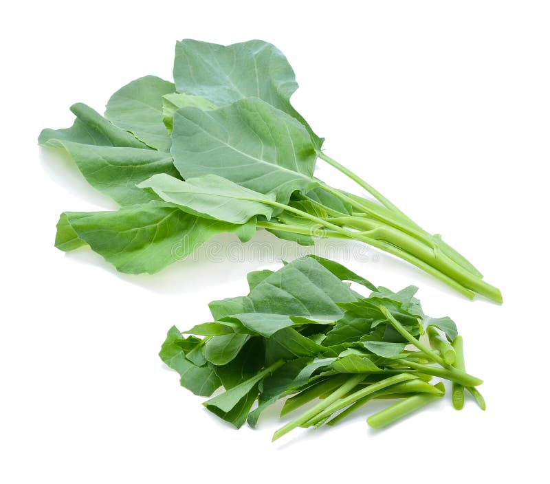 Chinese Broccoli, Chinese Kale Stock Image Image of lettuce