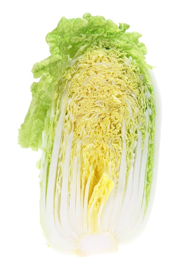 Chinese Cabbage