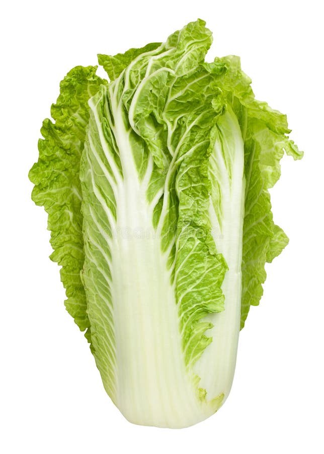 Chinese cabbage