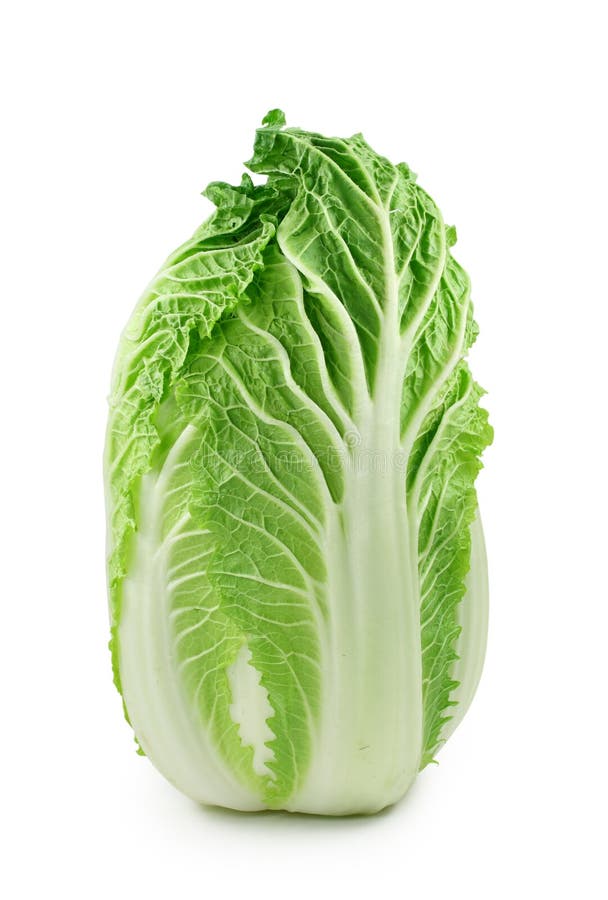 Chinese cabbage stock photo. Image of natural, cutout 7173470