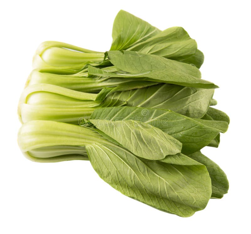 Chinese Cabbage Or Bok Choy IX