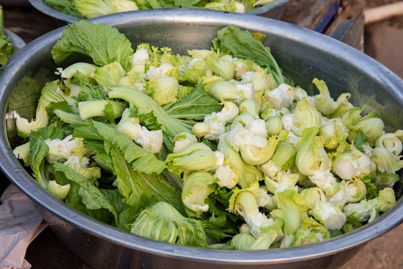 Chinese cabbage in bowl stock image. Image of salad 145212753