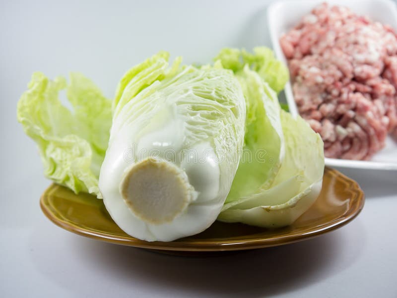 Chinese Cabbage in Dish with Minced Pork Stock Photo Image of choy