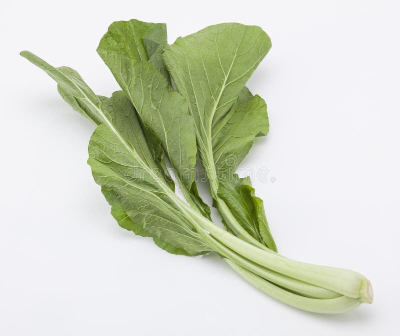 Chinese cabbage