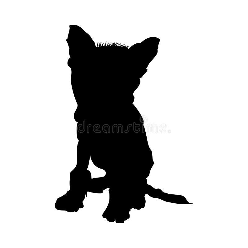 Chinese Crested-Hundeschattenbild stock abbildung Chinese Crested-Hundeschattenbild stock abbildung