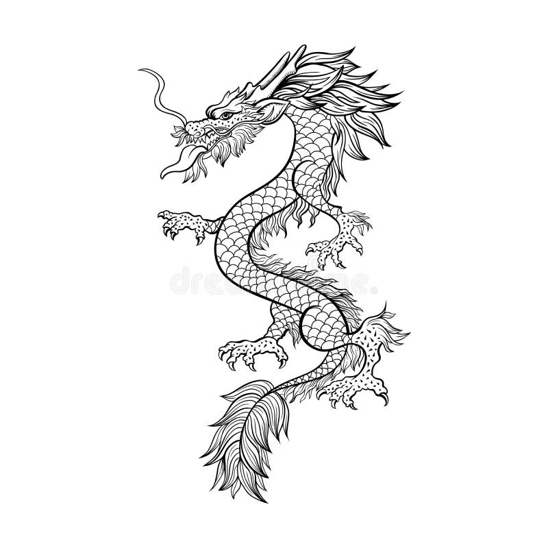 Detailed Colorful Full Body Dragon Drawing on White Background Vector ·  Creative Fabrica