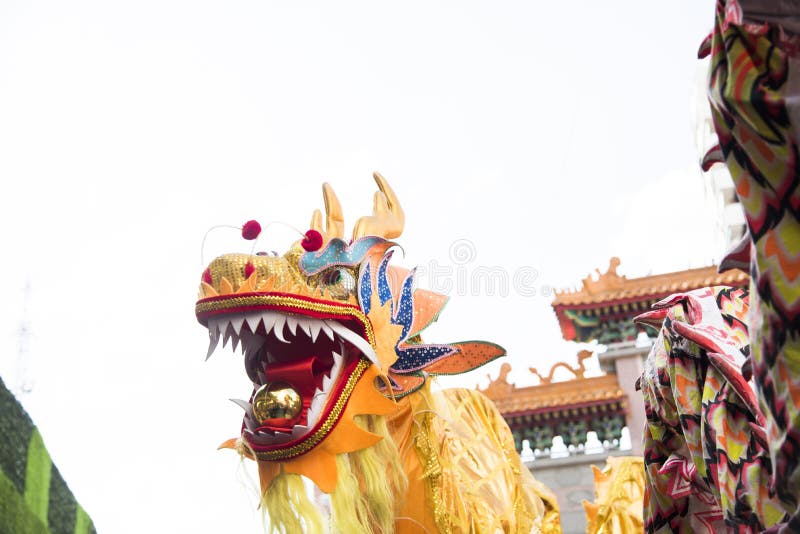 lunar new year animals dragon lunar new year animals dragon