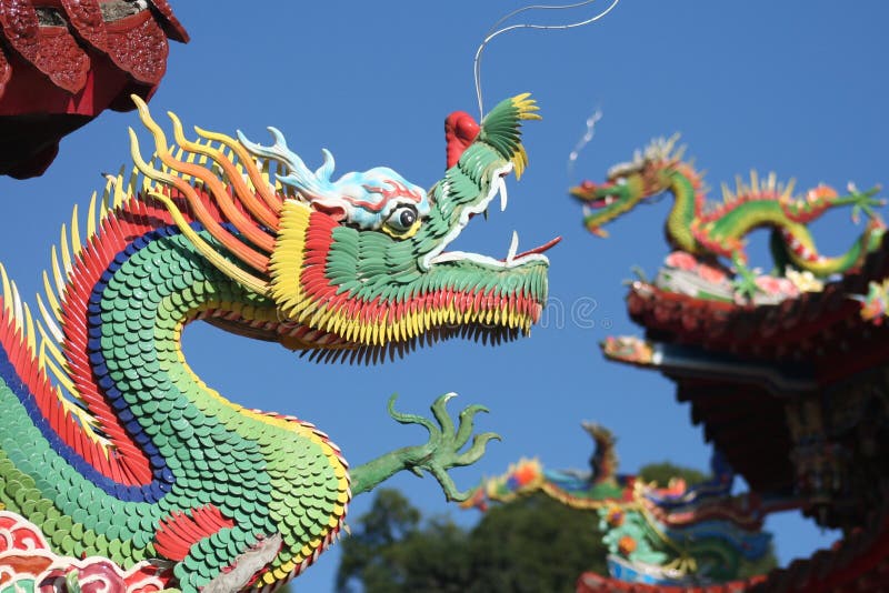 Acteur Verfrissend doden Chinese draken stock afbeelding. Image of zodiaan, taipeh - 5198881