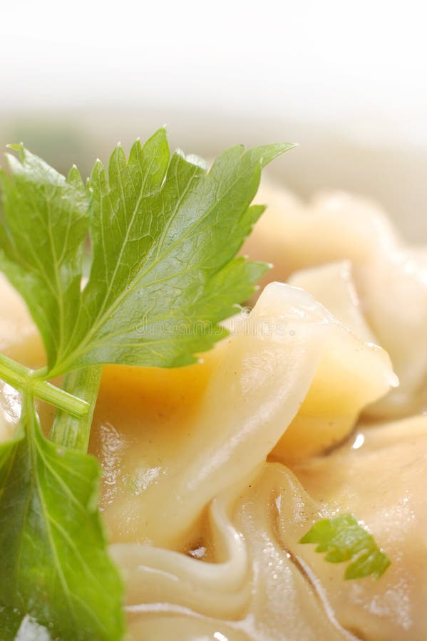 Chinese dumpling soup stock photo. Image of chinese, close 10811872