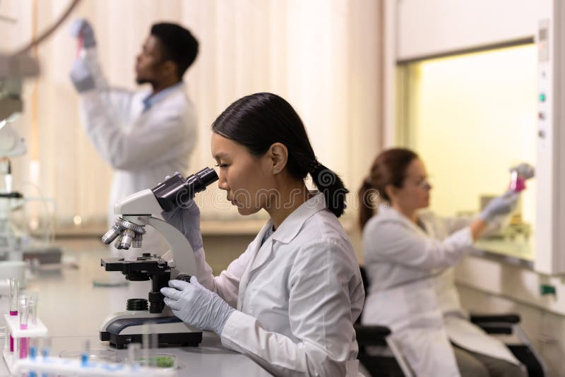 Chinese female scientist looking in microscope royalty free stock photography