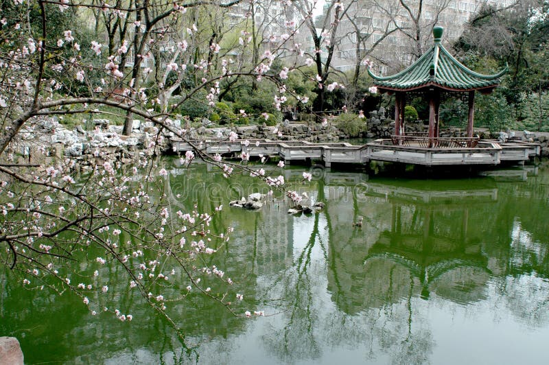 Chinese garden