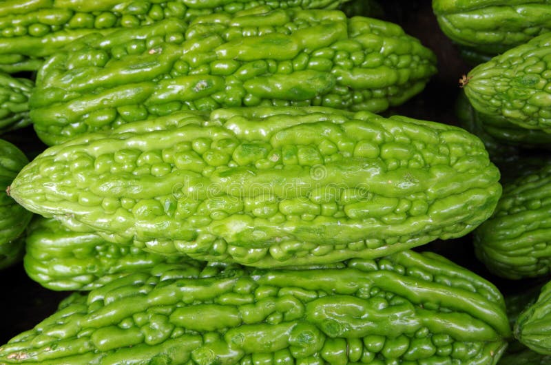 Chinese Sin Qua Vegetable Pattern Stock Photo Image of plant