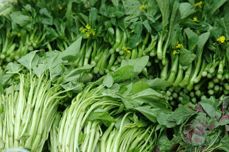 Chinese green vegetable stock photo. Image of texture 2283514
