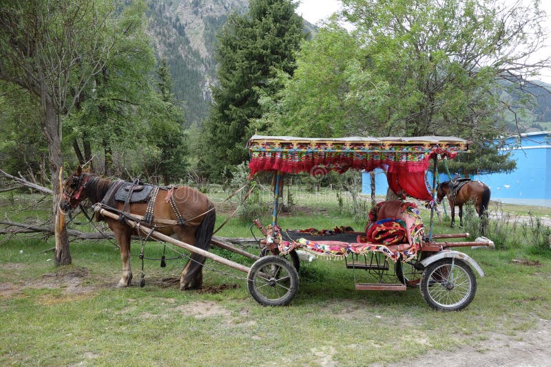 Cinese un cavallo trasporto foresta 