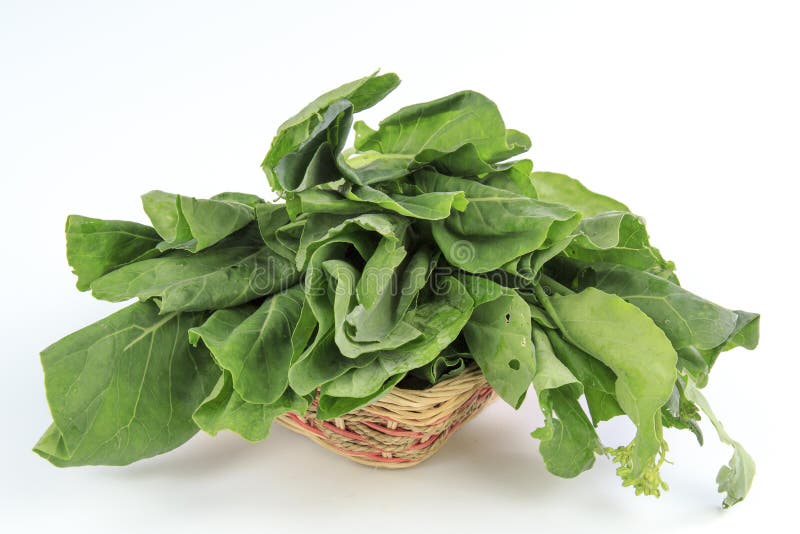 Chinese Kale stock photo. Image of grow, food, farm, ingredient 86164816