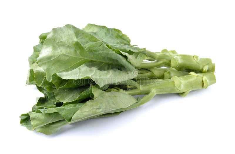 Chinese kale vegetable stock image. Image of fresh, agriculture 174865337