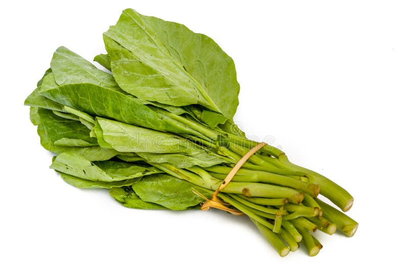 Chinese kale vegetable stock photo. Image of agriculture 31725466